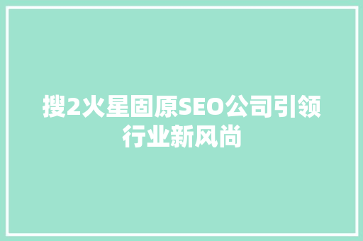搜2火星固原SEO公司引领行业新风尚