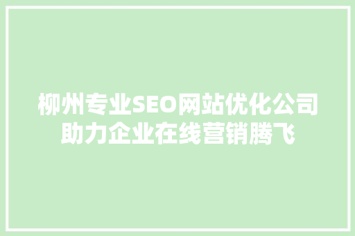 柳州专业SEO网站优化公司助力企业在线营销腾飞