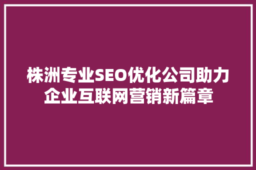 株洲专业SEO优化公司助力企业互联网营销新篇章