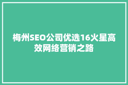 梅州SEO公司优选16火星高效网络营销之路