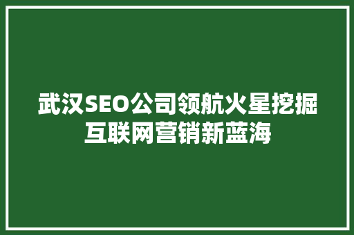 武汉SEO公司领航火星挖掘互联网营销新蓝海