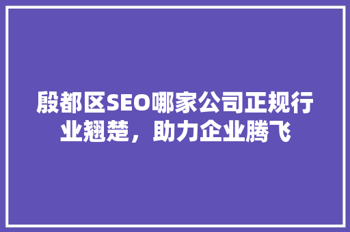殷都区SEO哪家公司正规行业翘楚，助力企业腾飞