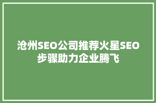 沧州SEO公司推荐火星SEO步骤助力企业腾飞