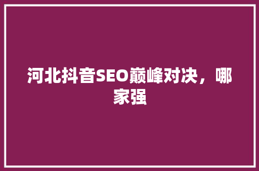 河北抖音SEO巅峰对决，哪家强