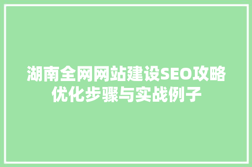 湖南全网网站建设SEO攻略优化步骤与实战例子