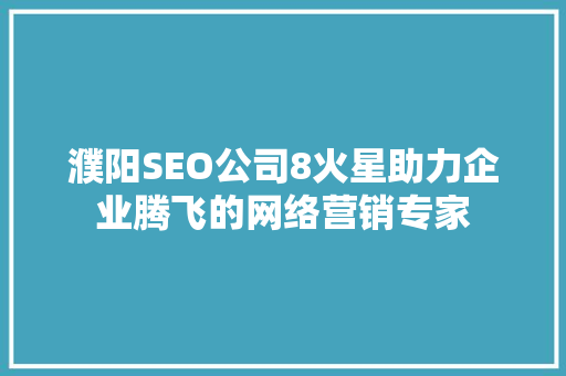 濮阳SEO公司8火星助力企业腾飞的网络营销专家