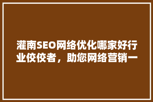 灌南SEO网络优化哪家好行业佼佼者，助您网络营销一臂之力