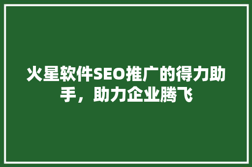 火星软件SEO推广的得力助手，助力企业腾飞