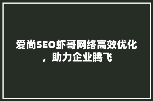 爱尚SEO虾哥网络高效优化，助力企业腾飞