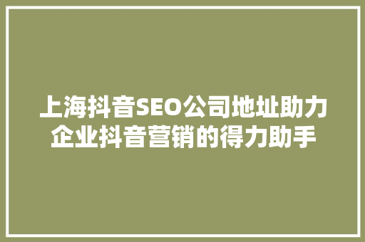 上海抖音SEO公司地址助力企业抖音营销的得力助手