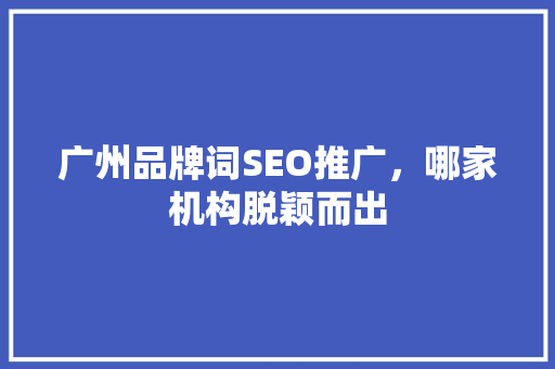 广州品牌词SEO推广，哪家机构脱颖而出