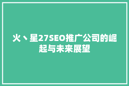 火丶星27SEO推广公司的崛起与未来展望