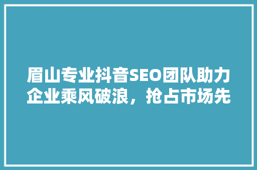 眉山专业抖音SEO团队助力企业乘风破浪，抢占市场先机
