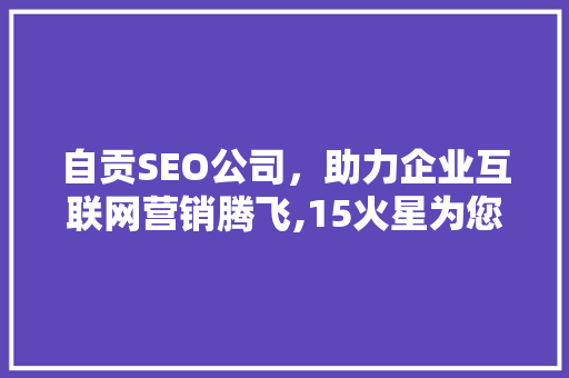 自贡SEO公司，助力企业互联网营销腾飞,15火星为您保驾护航