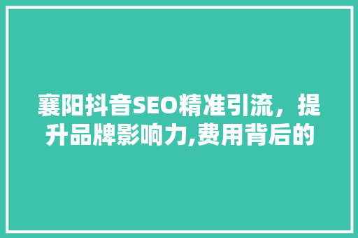 襄阳抖音SEO精准引流，提升品牌影响力,费用背后的价值