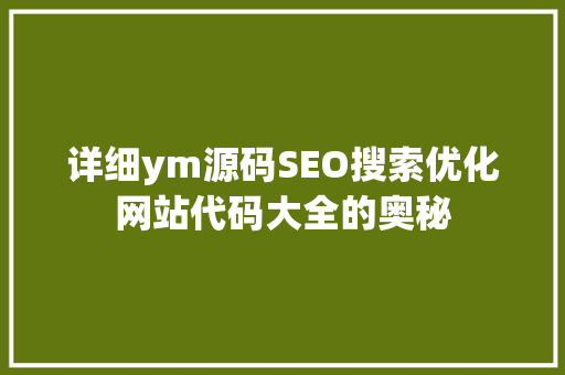 详细ym源码SEO搜索优化网站代码大全的奥秘