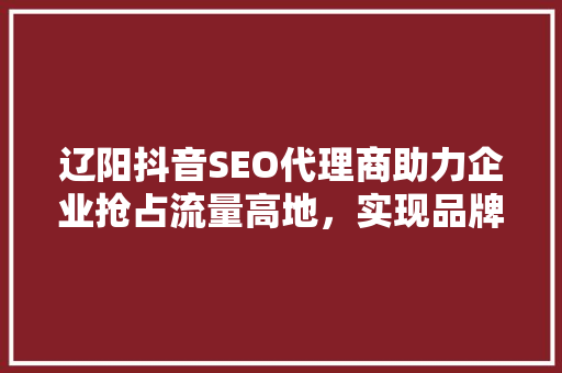 辽阳抖音SEO代理商助力企业抢占流量高地，实现品牌价值最大化