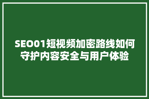 SEO01短视频加密路线如何守护内容安全与用户体验