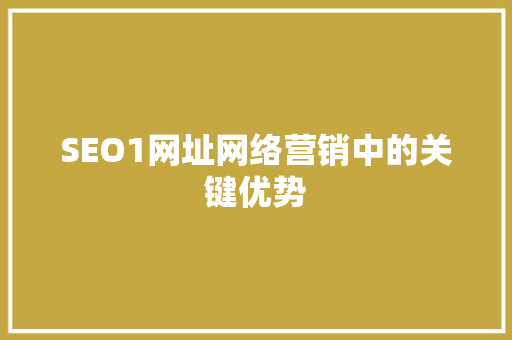 SEO1网址网络营销中的关键优势