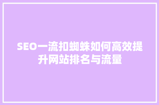 SEO一流扣蜘蛛如何高效提升网站排名与流量