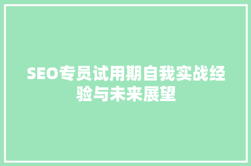 SEO专员试用期自我实战经验与未来展望