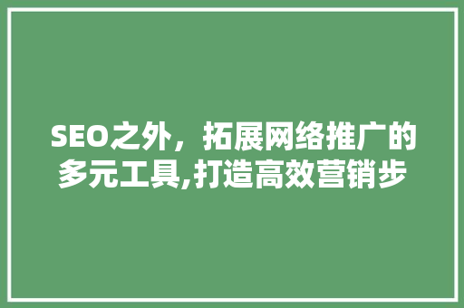 SEO之外，拓展网络推广的多元工具,打造高效营销步骤