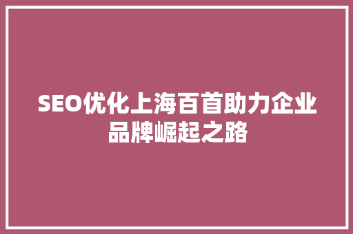 SEO优化上海百首助力企业品牌崛起之路