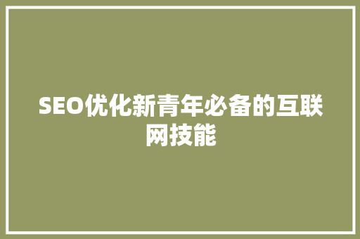 SEO优化新青年必备的互联网技能