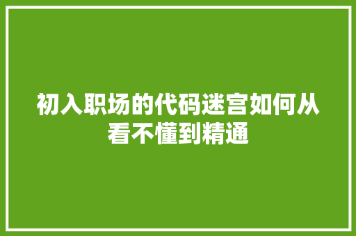初入职场的代码迷宫如何从看不懂到精通