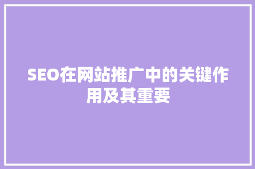 SEO在网站推广中的关键作用及其重要