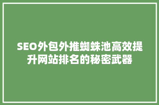 SEO外包外推蜘蛛池高效提升网站排名的秘密武器