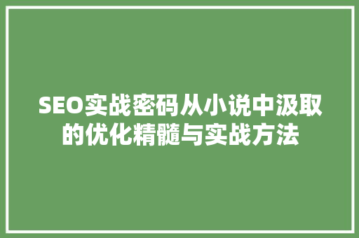 SEO实战密码从小说中汲取的优化精髓与实战方法
