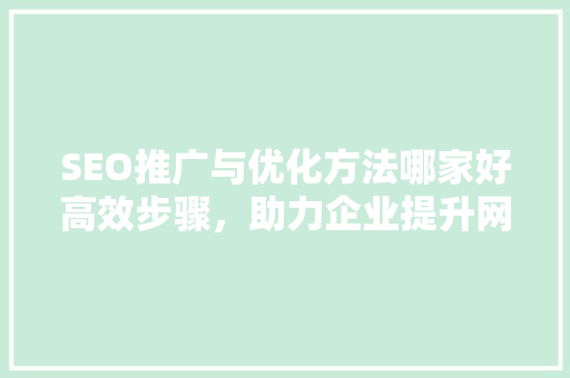 SEO推广与优化方法哪家好高效步骤，助力企业提升网站排名