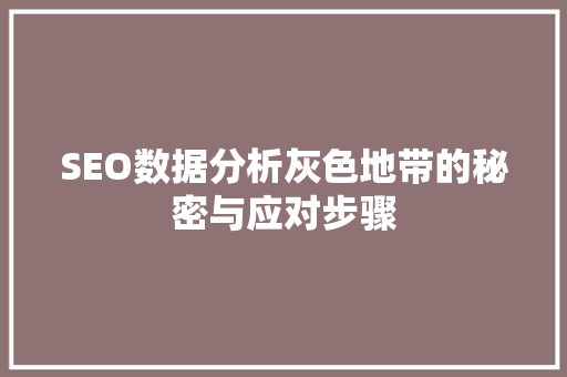SEO数据分析灰色地带的秘密与应对步骤