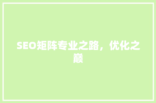 SEO矩阵专业之路，优化之巅