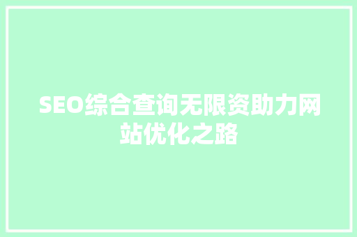 SEO综合查询无限资助力网站优化之路