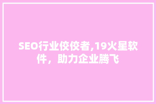 SEO行业佼佼者,19火星软件，助力企业腾飞