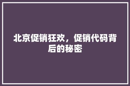 北京促销狂欢，促销代码背后的秘密