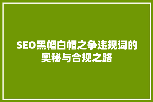 SEO黑帽白帽之争违规词的奥秘与合规之路