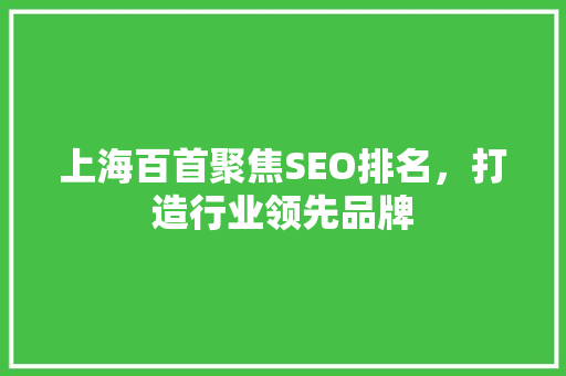 上海百首聚焦SEO排名，打造行业领先品牌