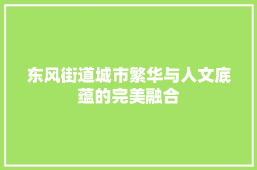 东风街道城市繁华与人文底蕴的完美融合