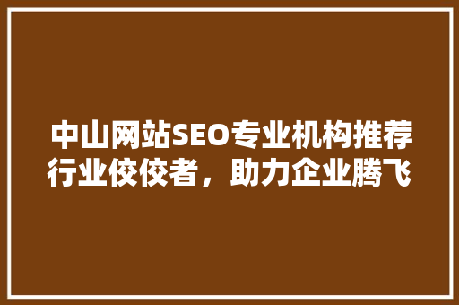 中山网站SEO专业机构推荐行业佼佼者，助力企业腾飞