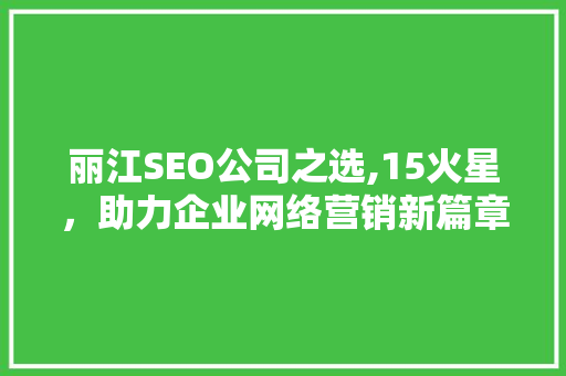丽江SEO公司之选,15火星，助力企业网络营销新篇章