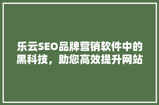 乐云SEO品牌营销软件中的黑科技，助您高效提升网站排名  第1张