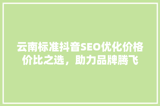 云南标准抖音SEO优化价格价比之选，助力品牌腾飞