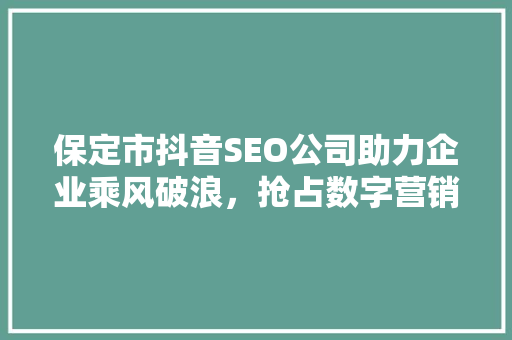 保定市抖音SEO公司助力企业乘风破浪，抢占数字营销高地