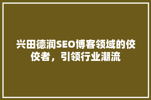 兴田德润SEO博客领域的佼佼者，引领行业潮流