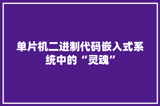 单片机二进制代码嵌入式系统中的“灵魂”