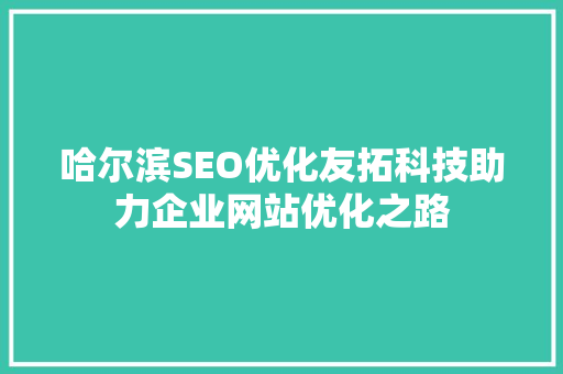 哈尔滨SEO优化友拓科技助力企业网站优化之路
