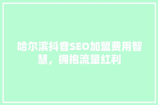 哈尔滨抖音SEO加盟费用智慧，拥抱流量红利
